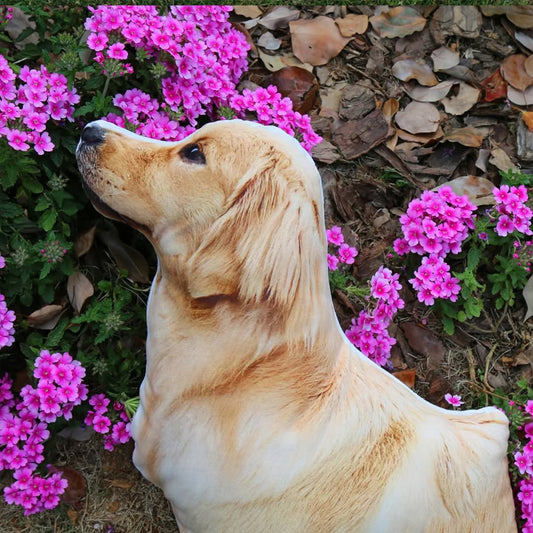 Ultimate Guide to Customizing Pet Pillows: A Thoughtful Guide from Image Selection to Receiving