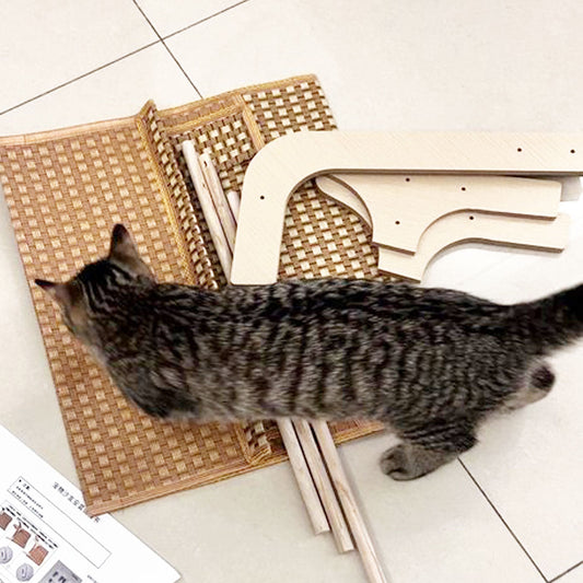 Let the cat watch you assemble rattan loungers.