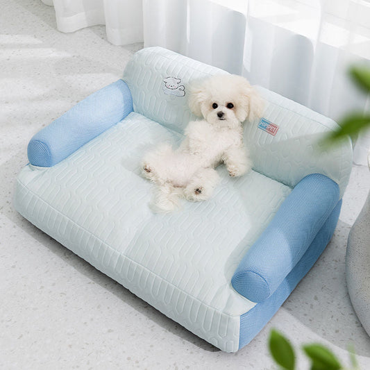 6 Essential Summer Care Tips for Dogs