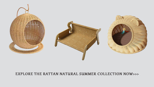 Woven Whimsy: How Rattan Pet Furniture Adds Style and Soul to Your Home