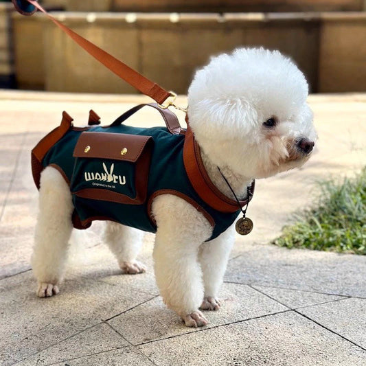 City Walks vs. Outdoor Escapes: The Ultimate Pet Travel Checklist for Every Adventure