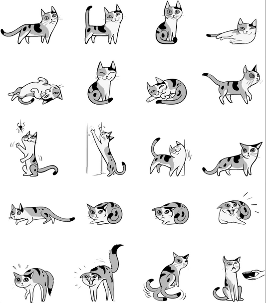 New Cat Parents Guide | Understanding Your Cat's Emotions through their body language