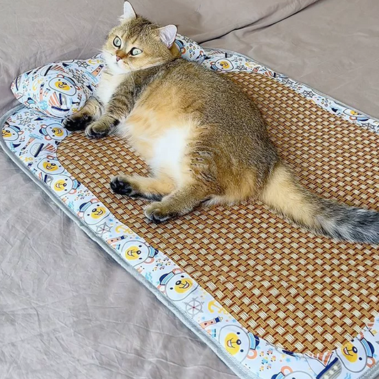 Build a Summer Pet Oasis: How to Design a Cooling Corner for Cats & Dogs