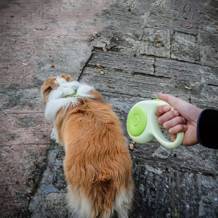 Whale-Shaped Retractable Pet Leash