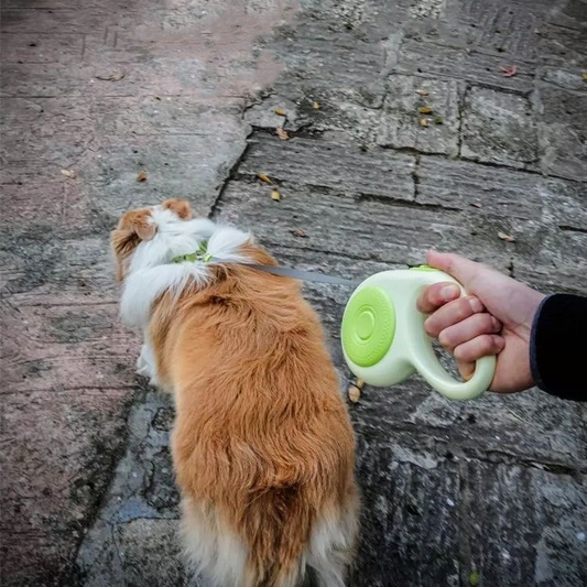 Whale-Shaped Retractable Pet Leash