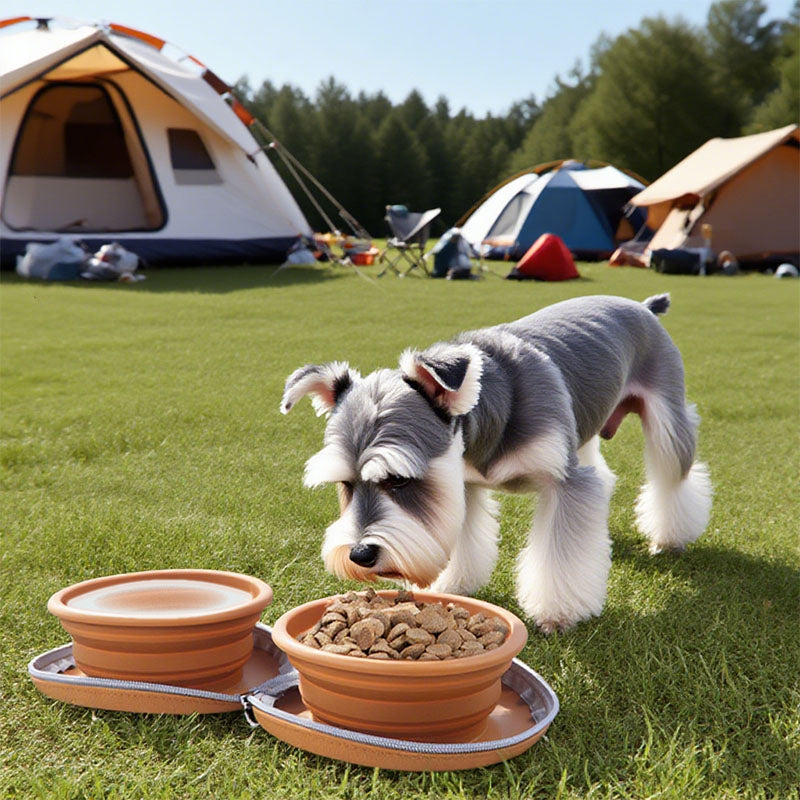 Collapsible Dual-Purpose Pet Travel Bowl