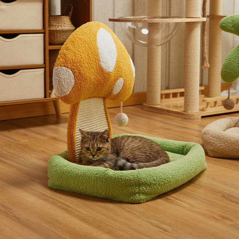 Nature Forme – Mushroom or Palm Tree Nest & Scratch Pet Pod