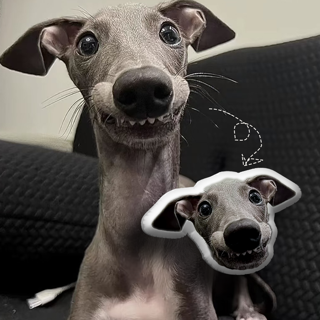 Exclusive customized pet shaped pillow