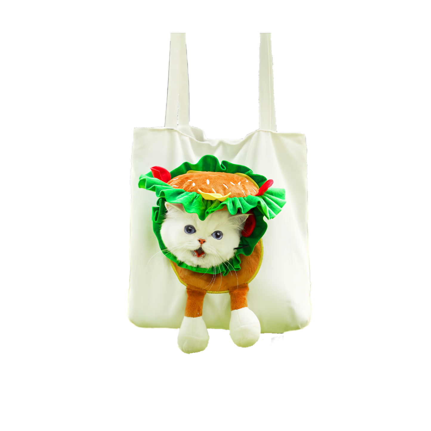 Portable Pet Carrier Bag Breathable Single Shoulder Cat Bag