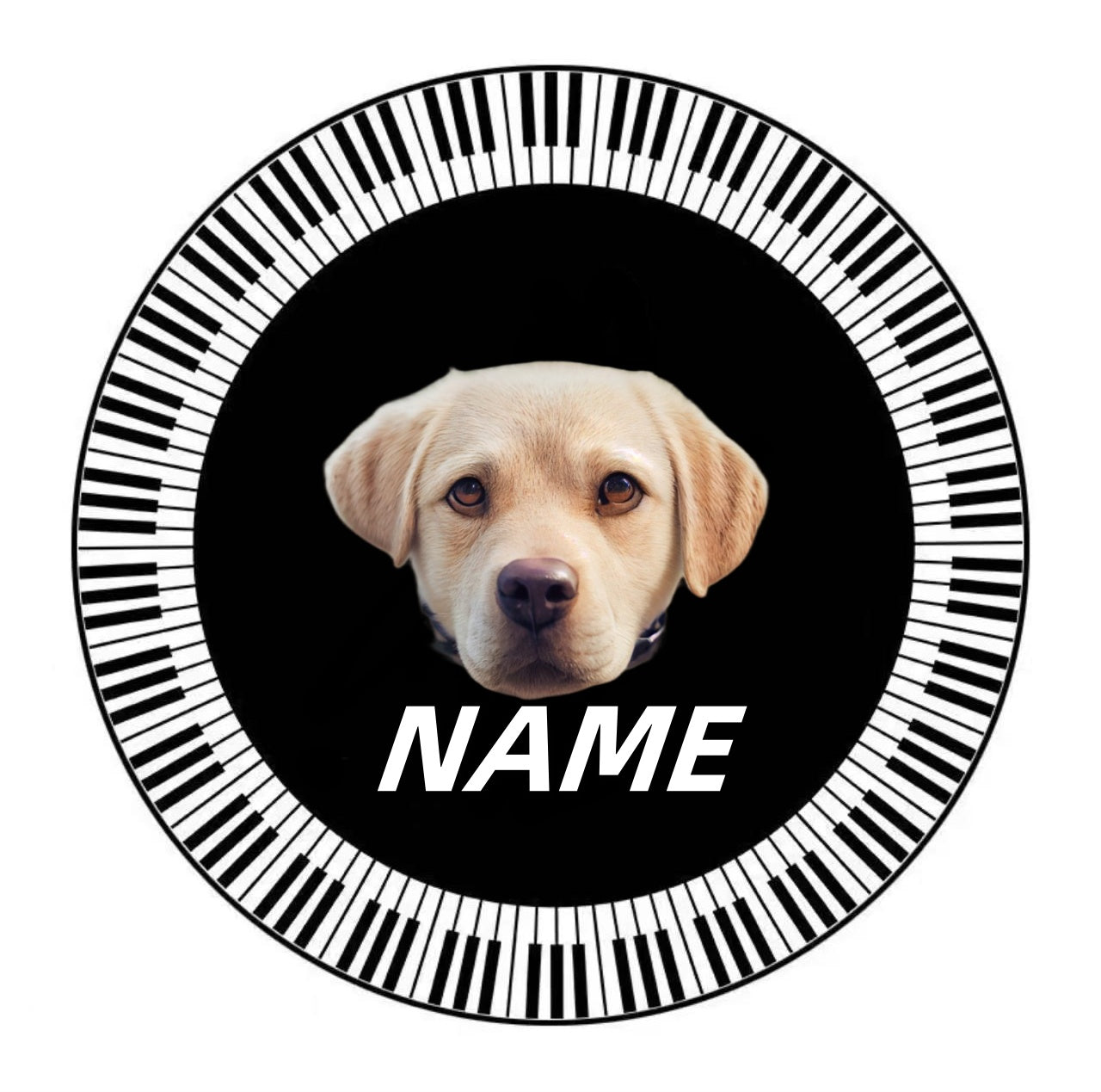 Piano Keys Customized Pet Portrait Carpet