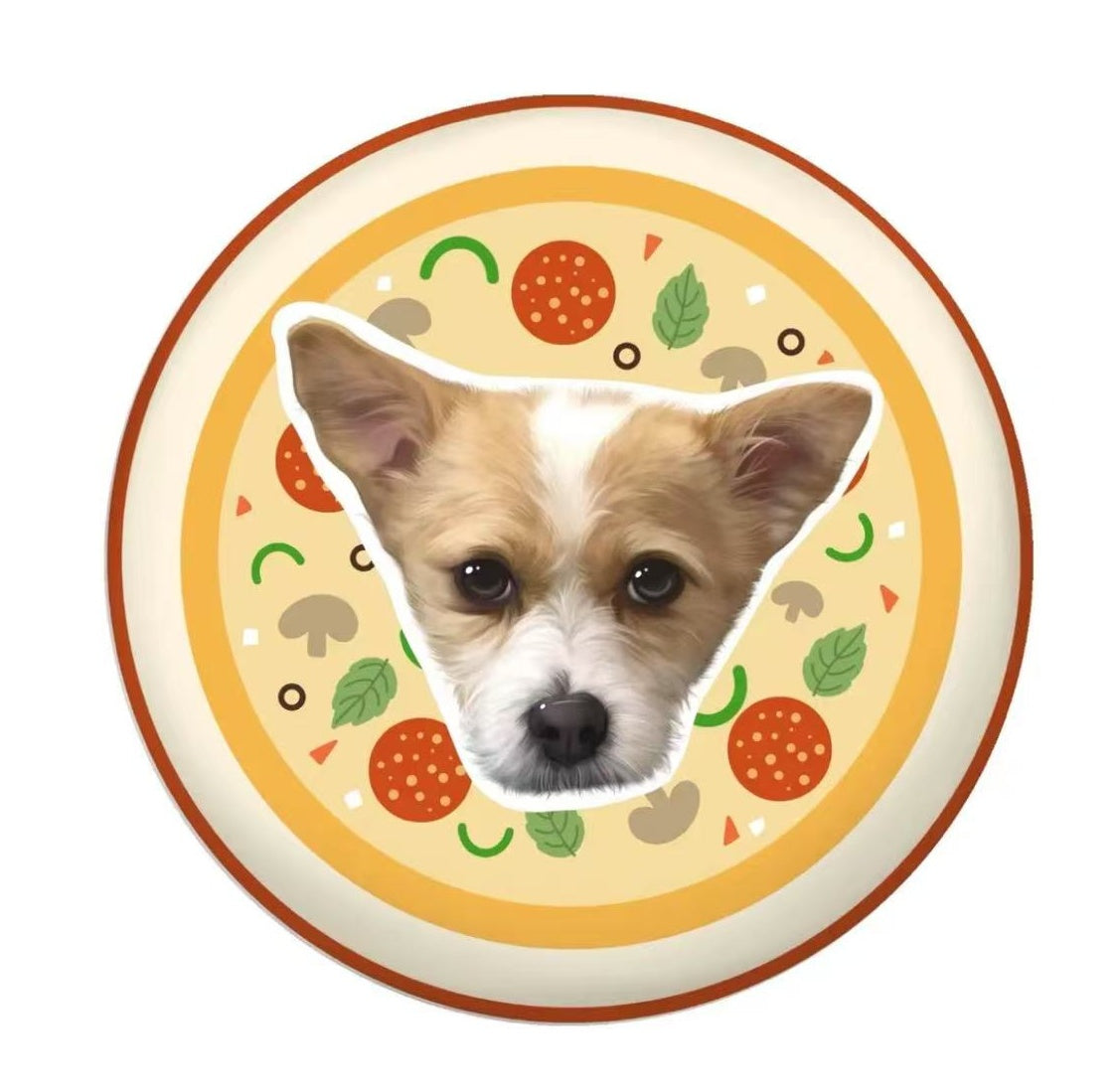 Yummy Pizza Pet Portrait Pillow