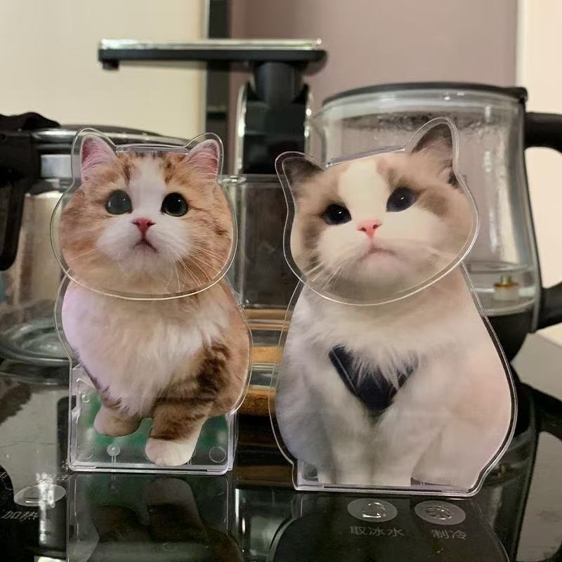Creative Cat Dog Shaking Head Ornaments 3D Pet Expression Diy