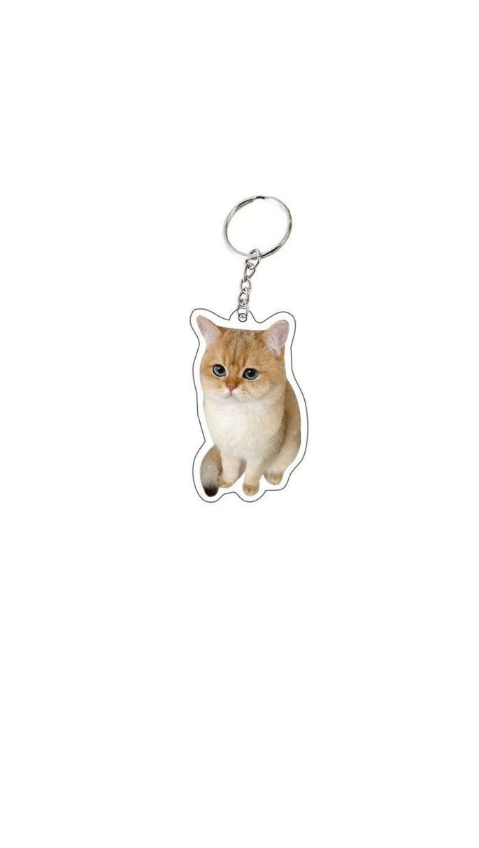 Customize Your Pet Portrait Acrylic Keychain