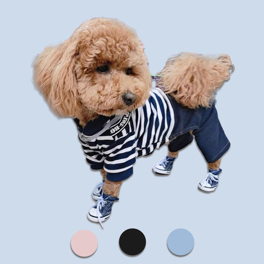 Canvas Pet Shoes