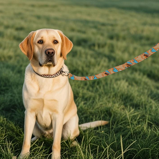 Bohemian Style Pet Leash
