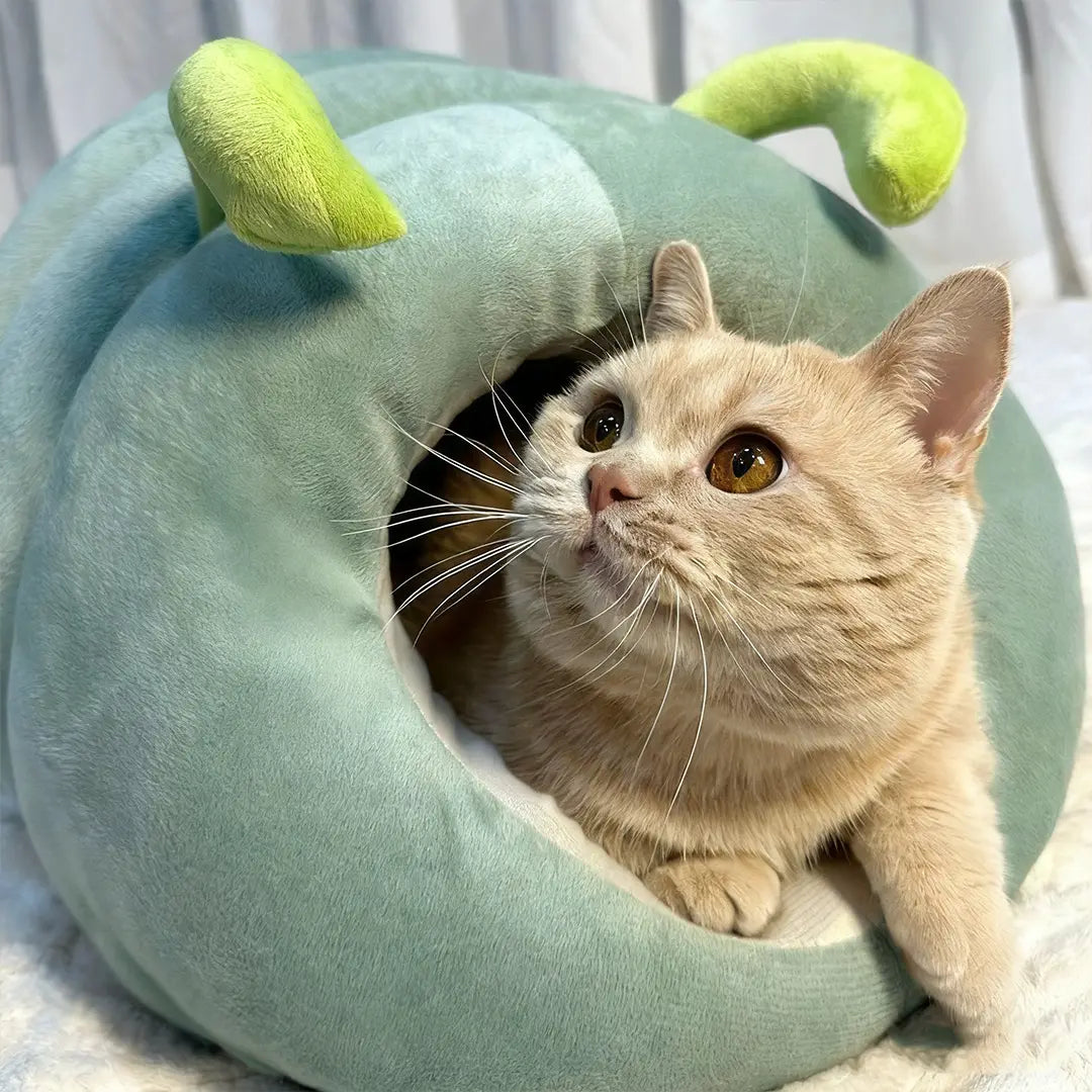 Caterpillar-Shaped Tunnel Cat Bed