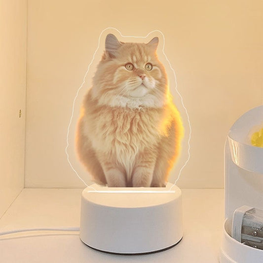 Pet Portrait Souvenirs Customized Night Light Ornaments