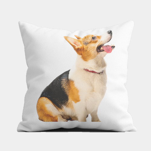 A sample square pillow with a corgi photo printed on it