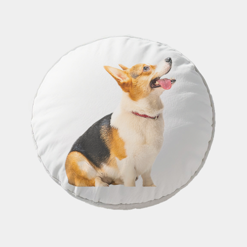 Customized Round Pet Portrait Pillow