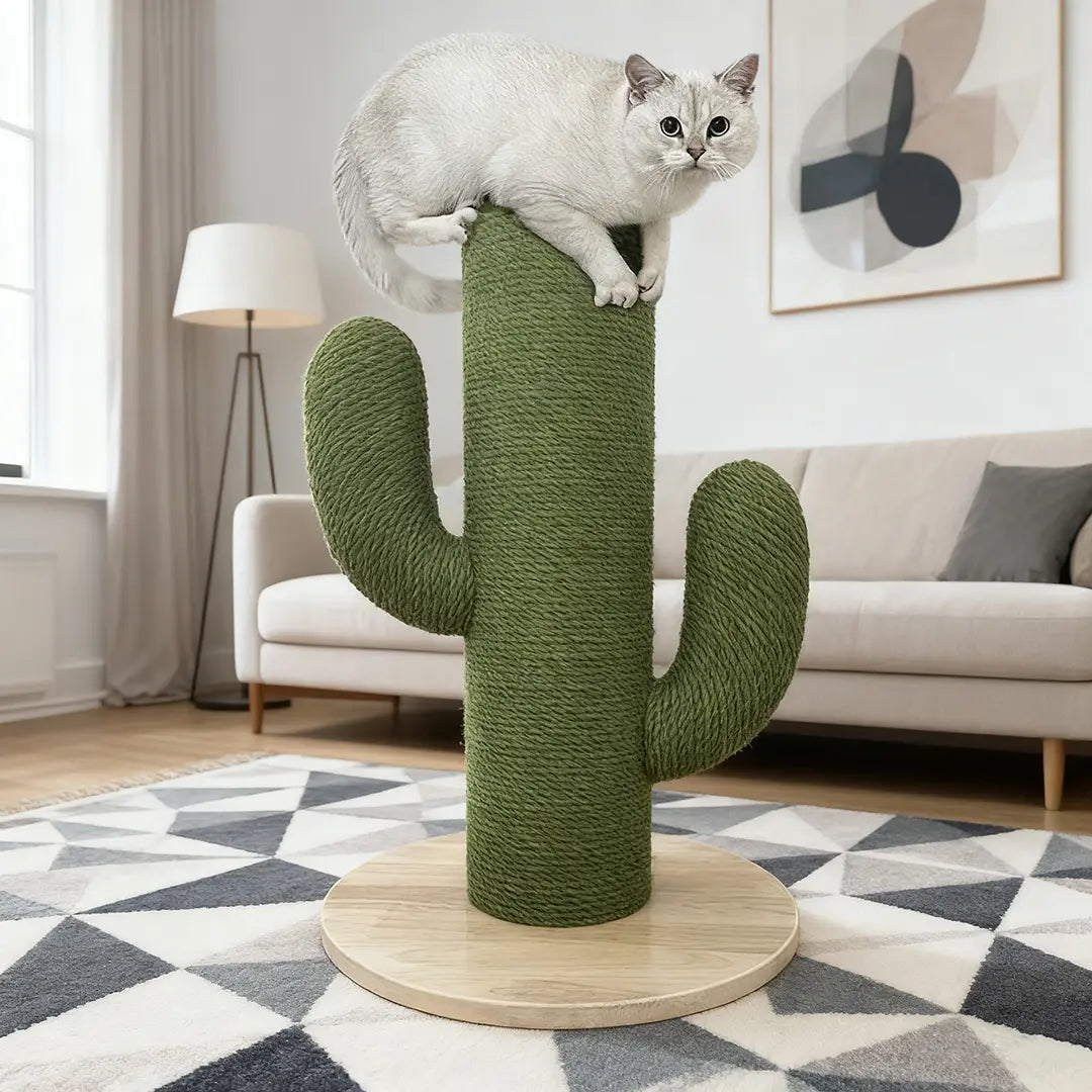 Nature Forme – Cute Cactus Sisal Cat Scratcher Post
