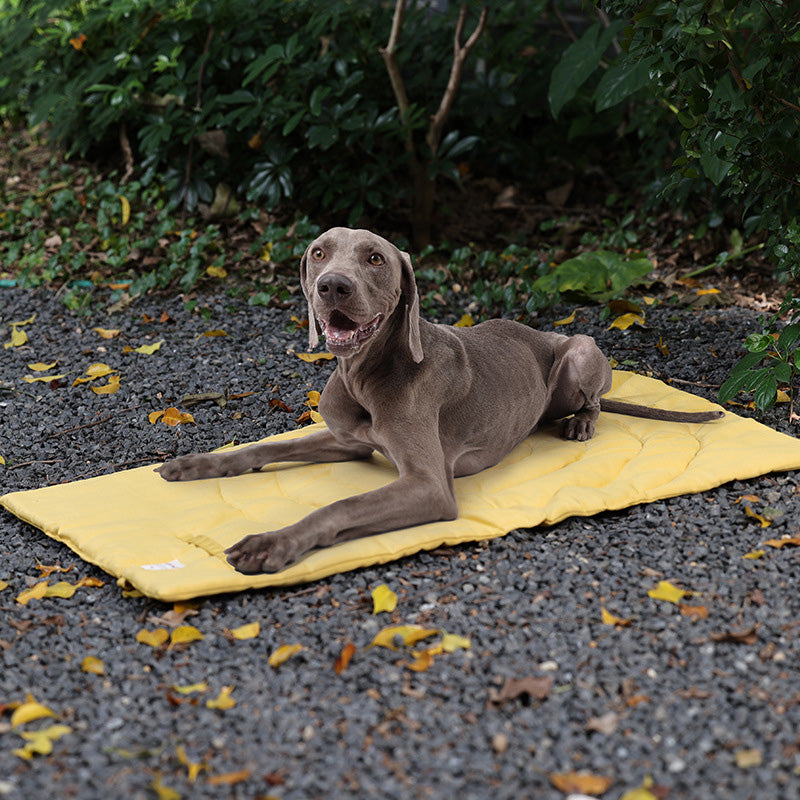 Foldable Waterproof Pet Travel Mat