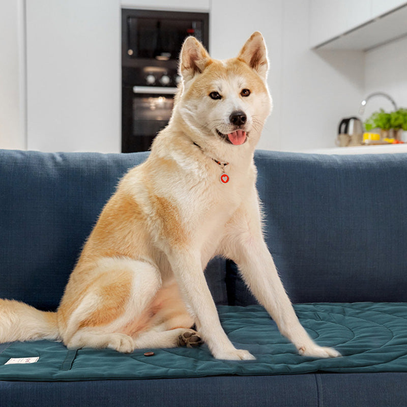 Foldable Waterproof Pet Travel Mat