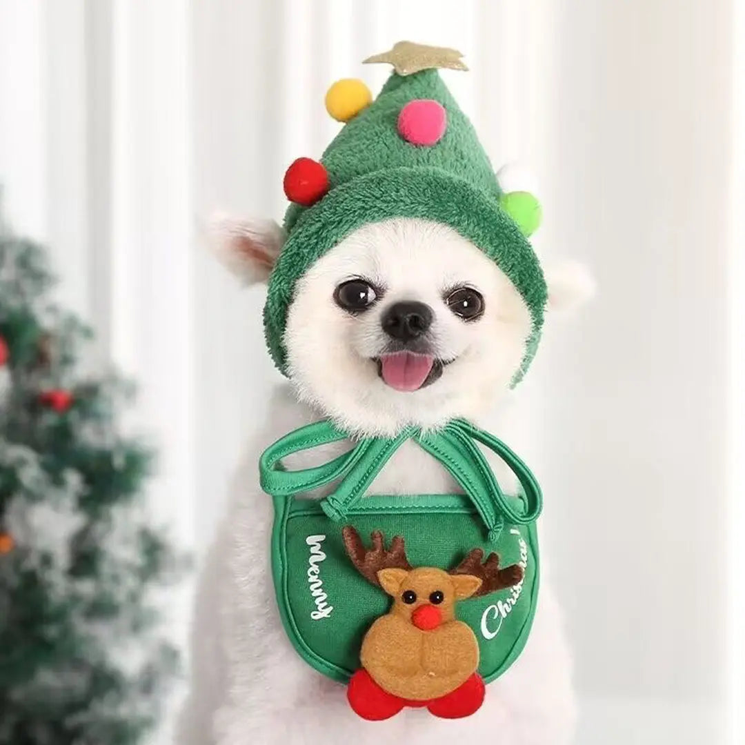 Pawsmas Christmas Pet Hat & Bandana Set