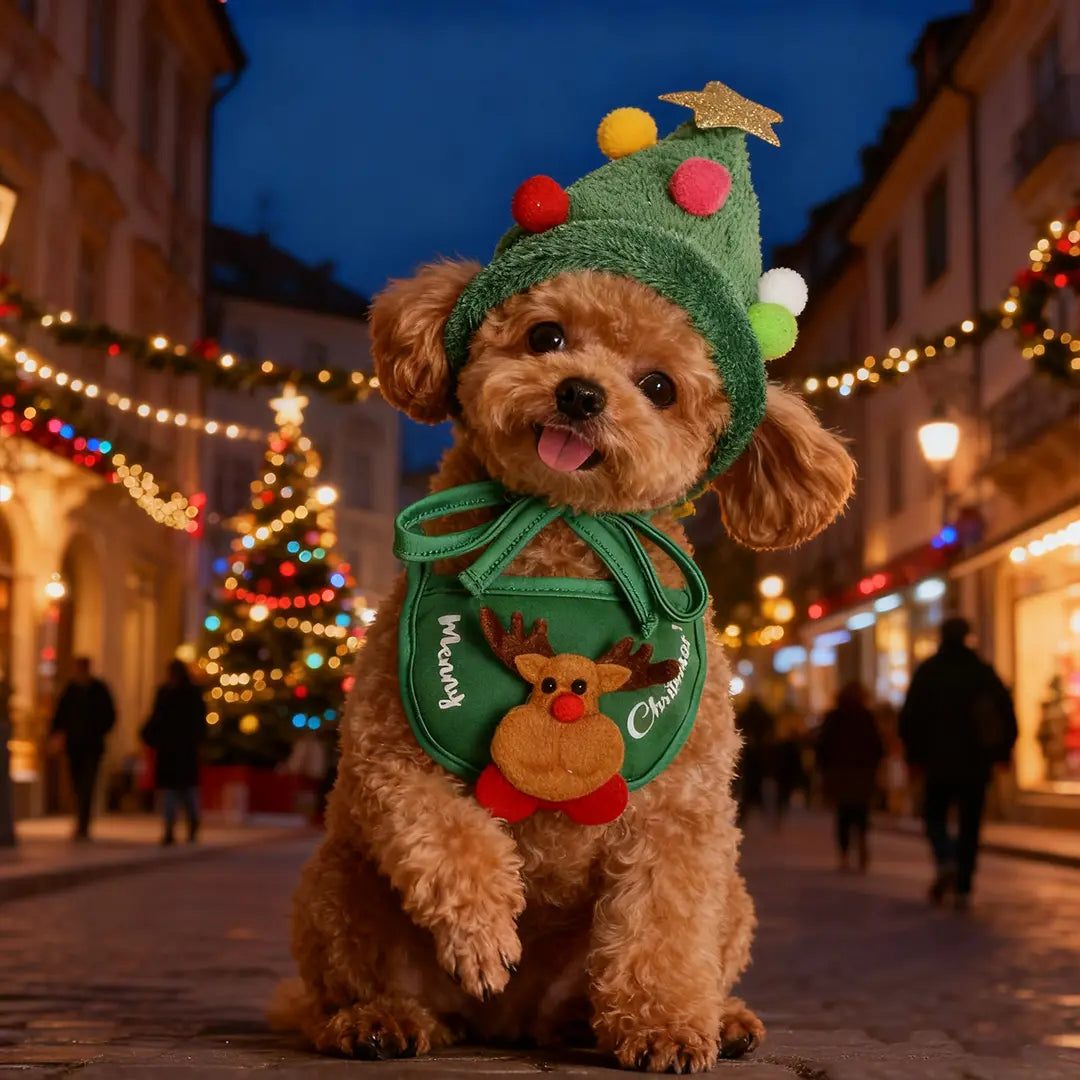 Pawsmas Christmas Pet Hat & Bandana Set