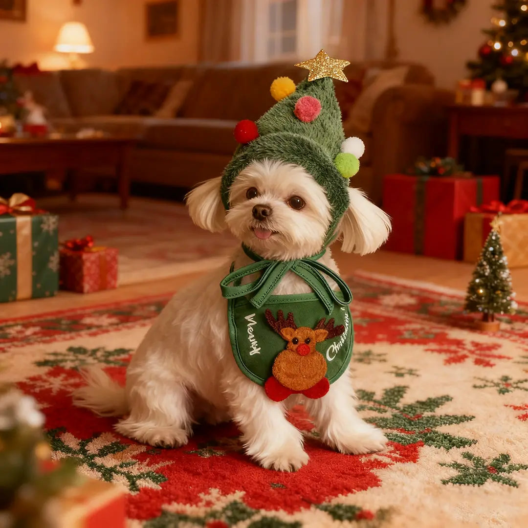 Pawsmas Christmas Pet Hat & Bandana Set