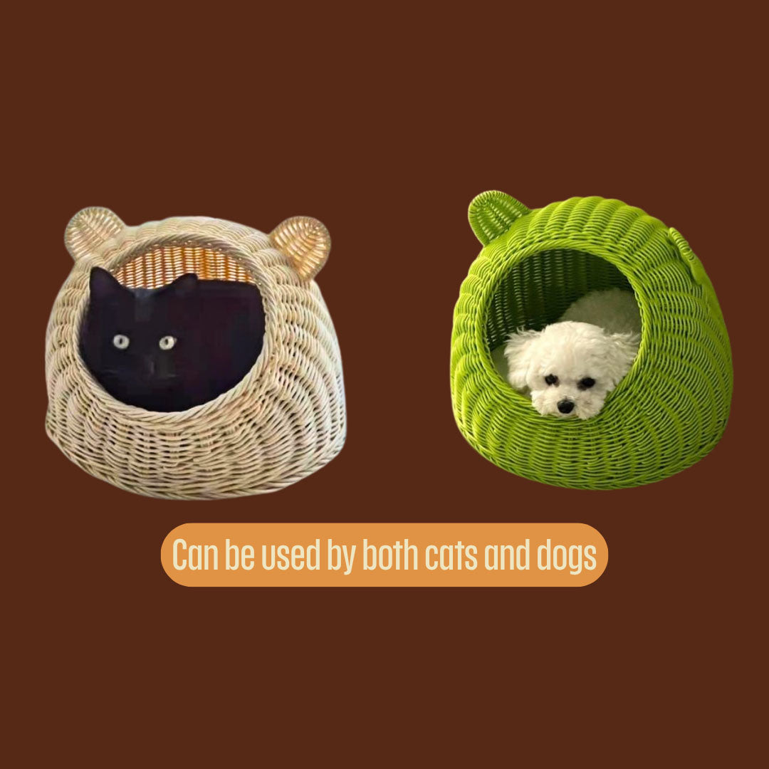 Rattan Cat Bed Stylish Wicker Cat Beds Pet Furniture