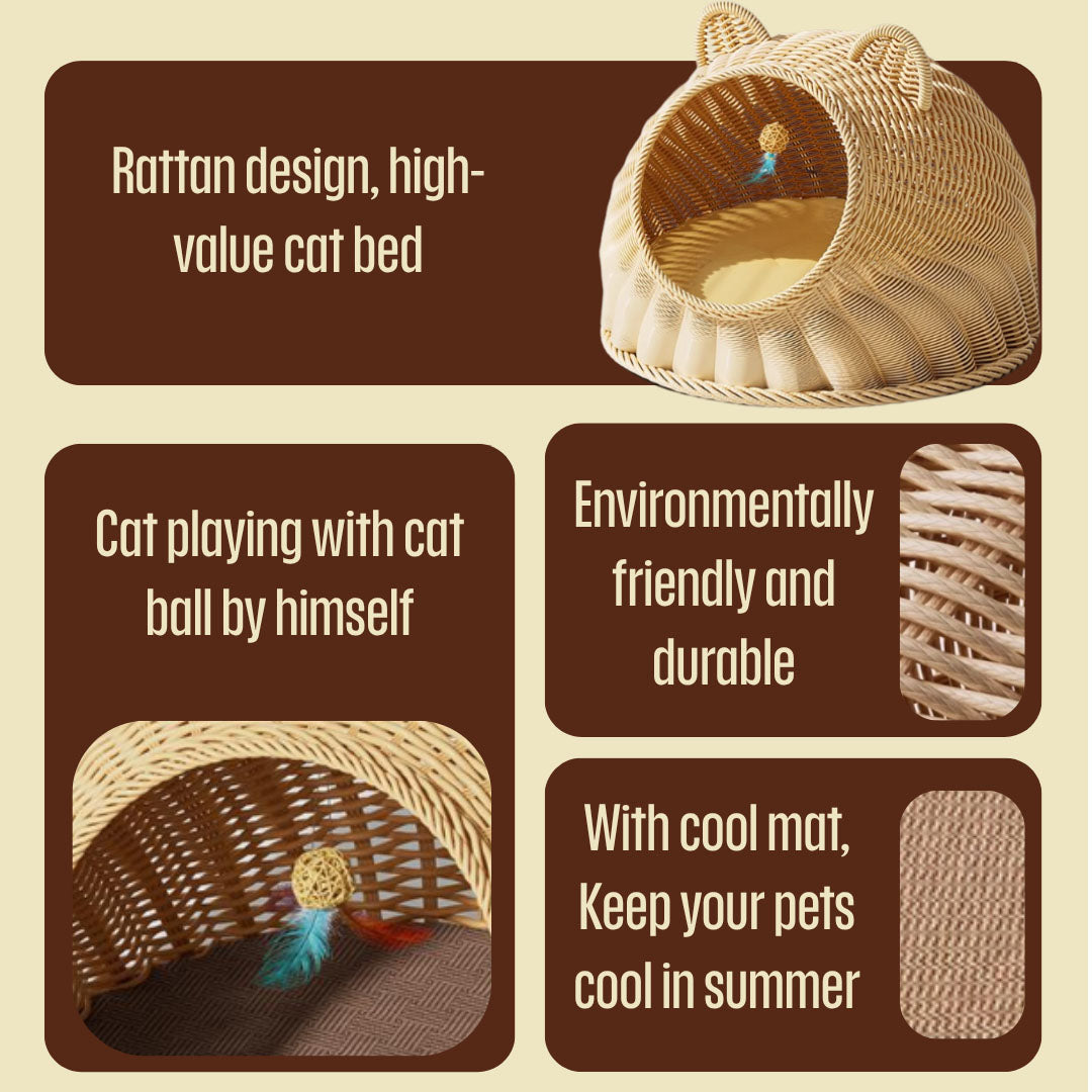 Rattan Cat Bed Stylish Wicker Cat Beds Pet Furniture