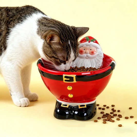 Pawsmas Santa Elevated Ceramic Pet Bowl