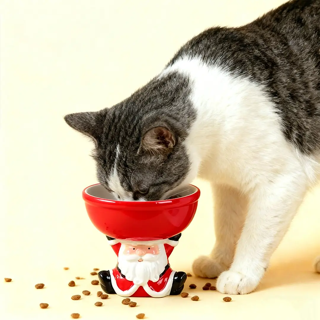 Pawsmas Santa Elevated Ceramic Pet Bowl