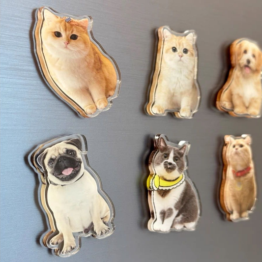 Customized Pet Refrigerator Magnet