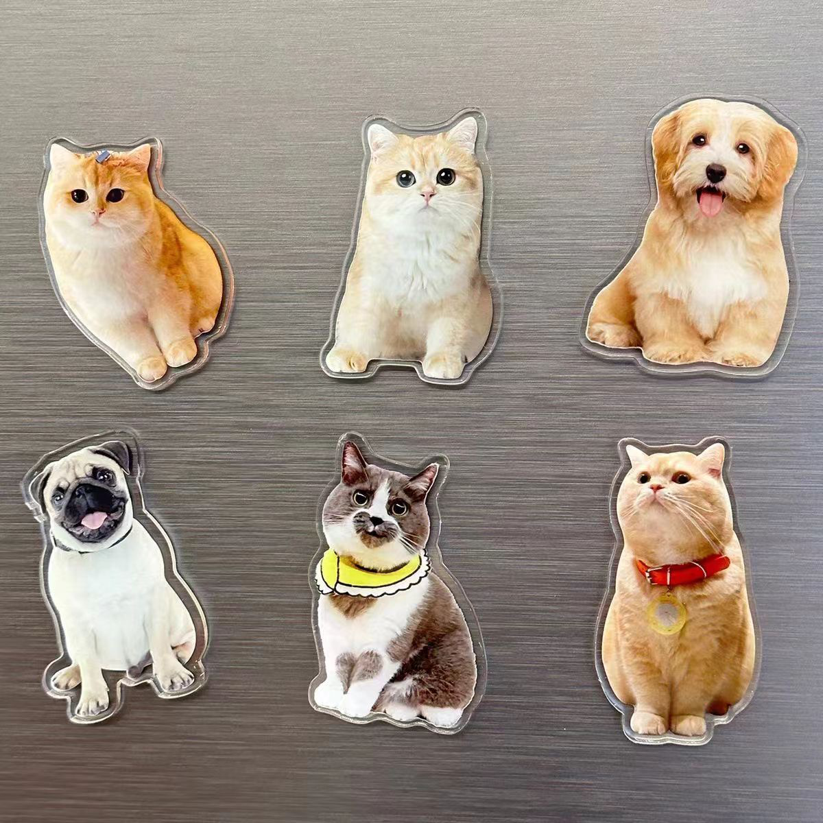 Customized Pet Refrigerator Magnet