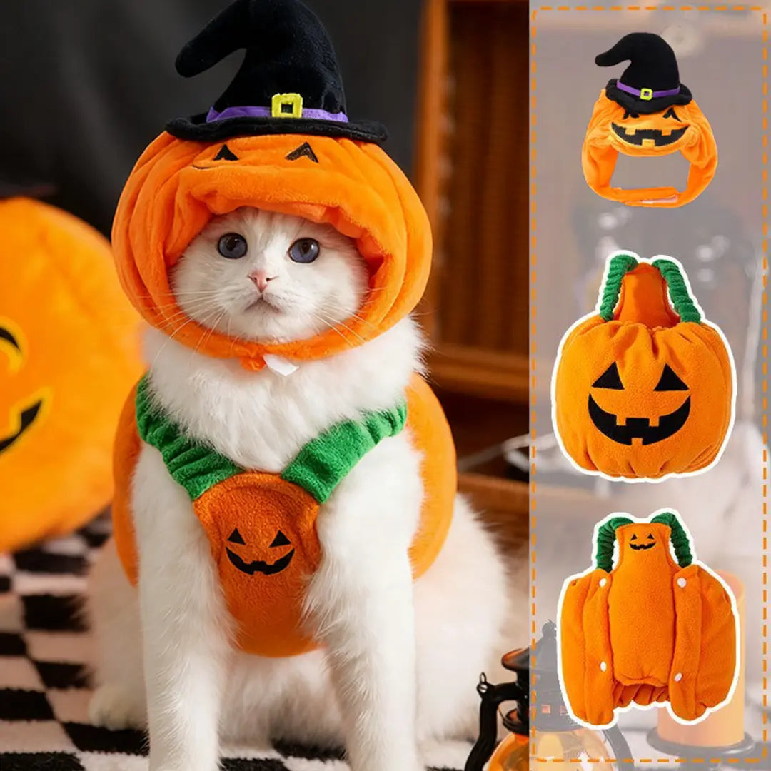 Halloween Limited Pet Pumpkin Bundle
