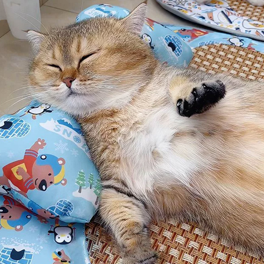 Summer Rattan Mat Pet Sleeping Cooling Pad for Cats Dogs