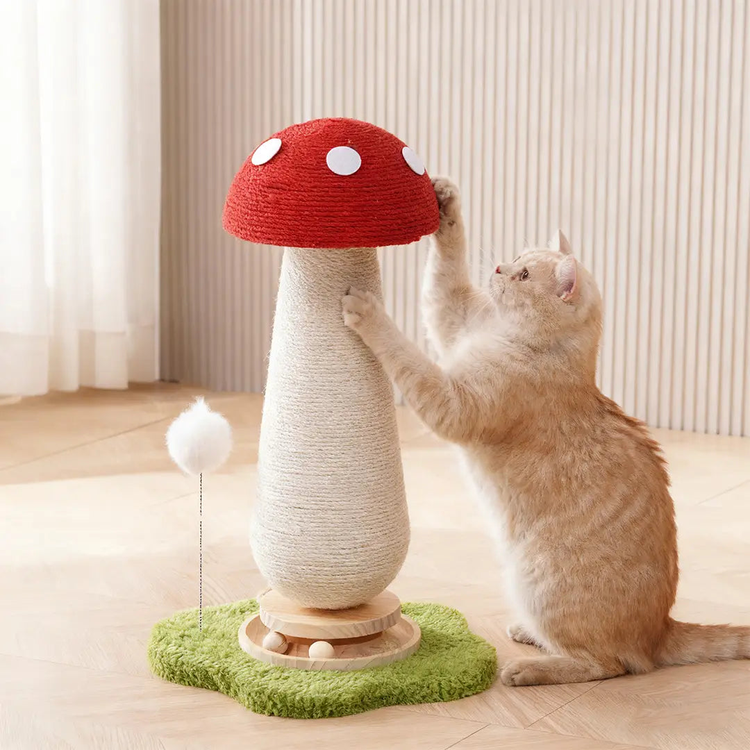 Nature Forme – Spin & Scratch Cat Post