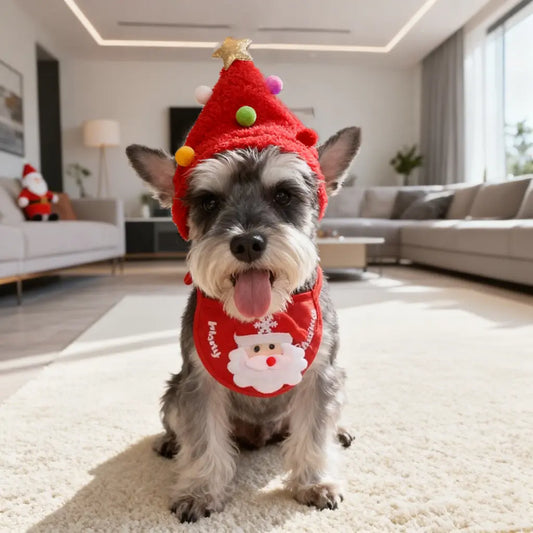 Pawsmas Christmas Pet Hat & Bandana Set