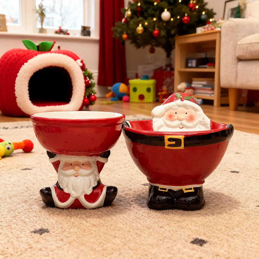 Pawsmas Santa Elevated Ceramic Pet Bowl
