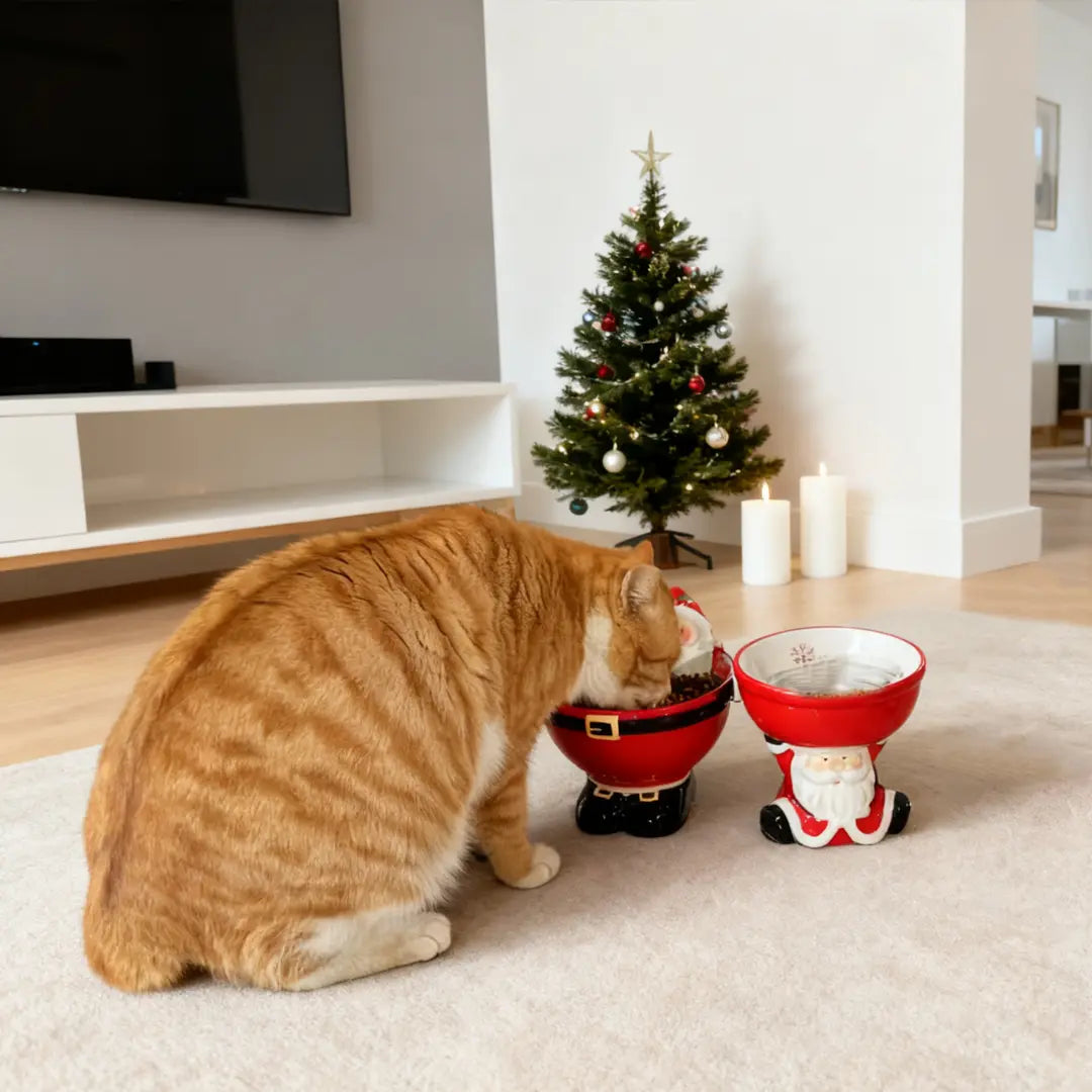 Pawsmas Santa Elevated Ceramic Pet Bowl