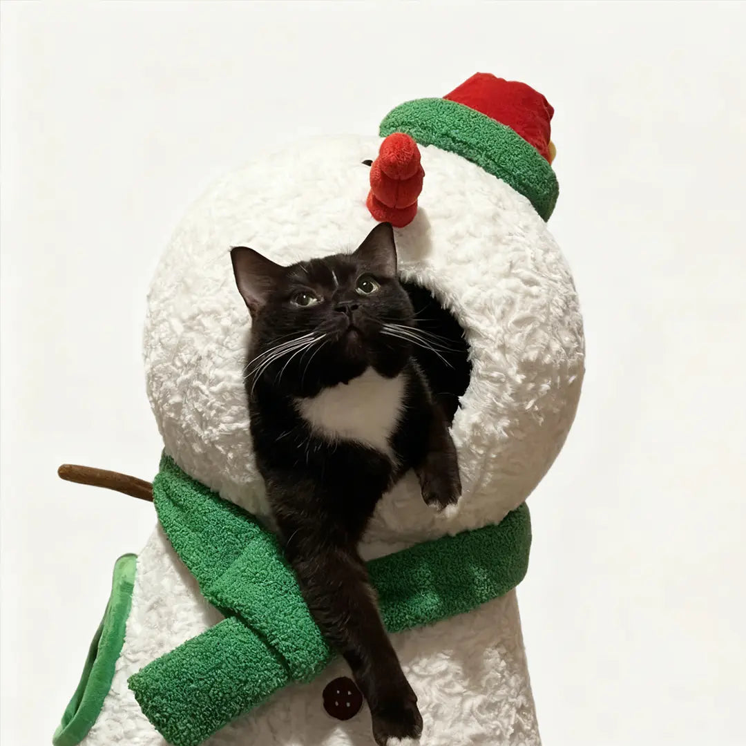 Pawsmas Snowman Pet House