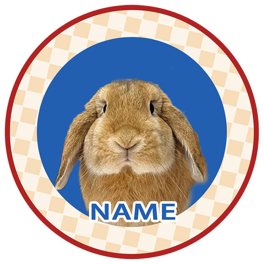 Tapis personnalisé pour animaux de compagnie avec portrait de lapin