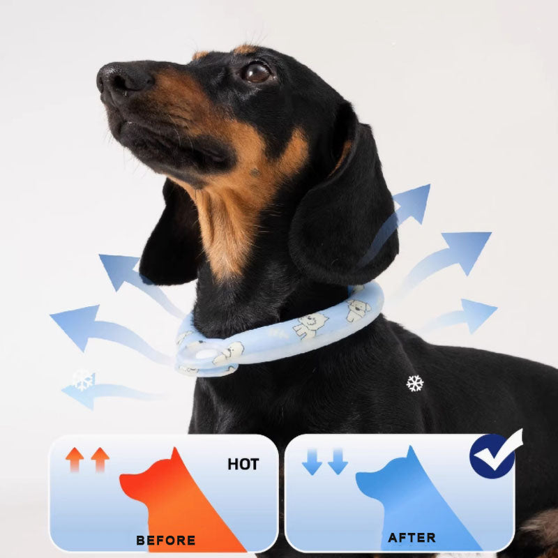 Dog Cooling Collar Cool Ring Cooling Pet Neck Band for Hot Temperatures