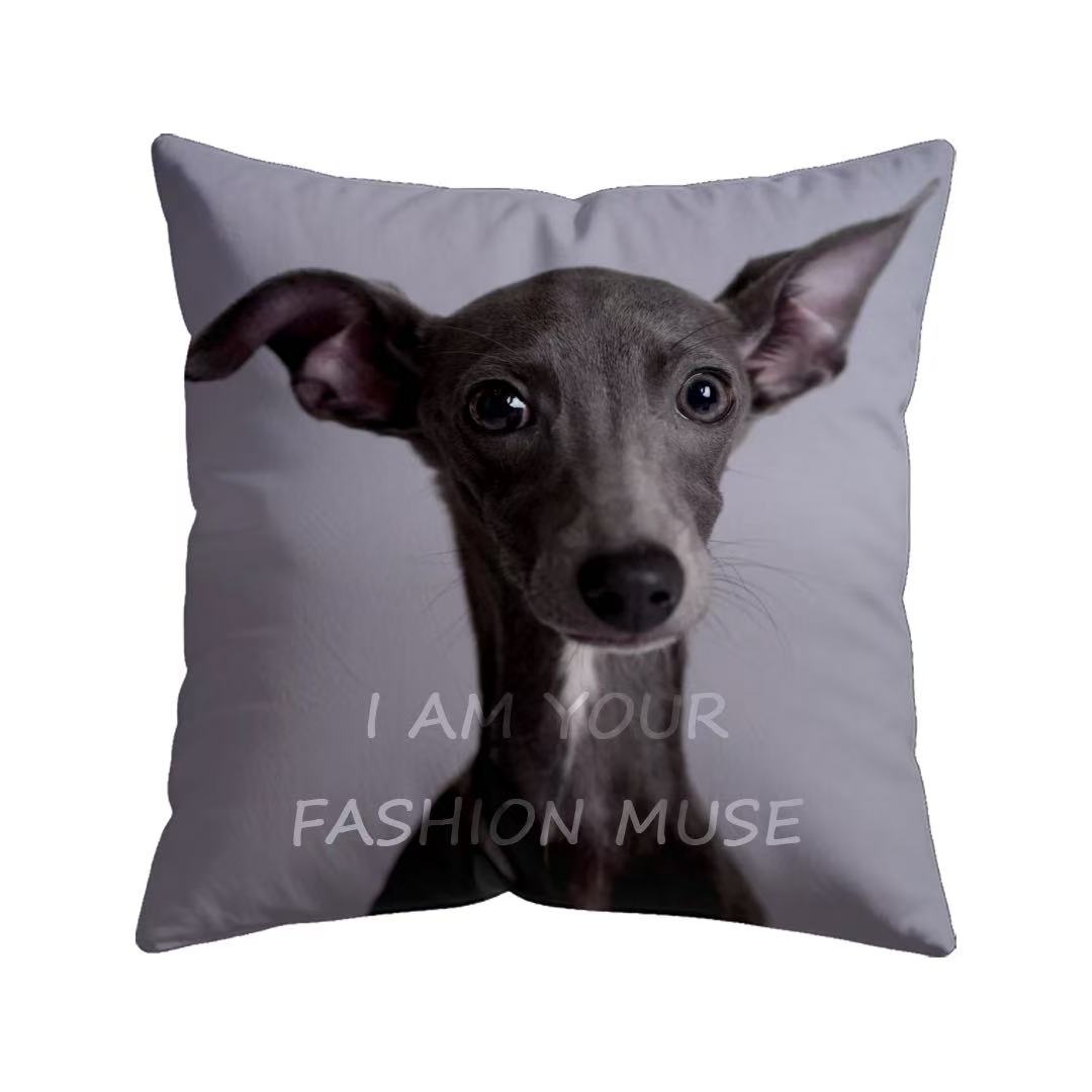 Print the dog's head on a square pillow and add a sentence "I am your fashion muse". The pet photo and text can be customized