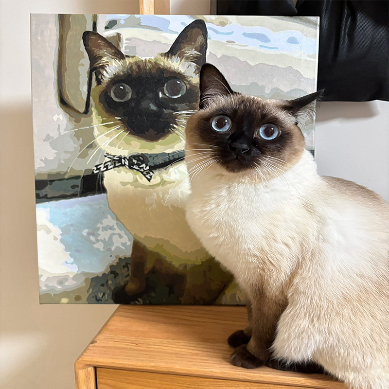 Diy Custom Digital Oil Painting from Pet Photo