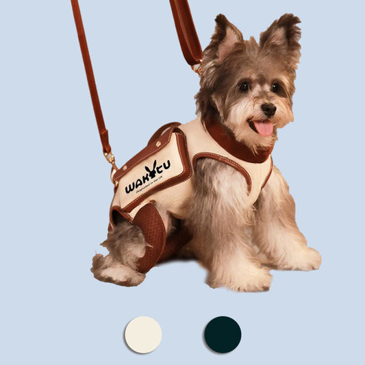 Hands-Free Pet Carrier Harness