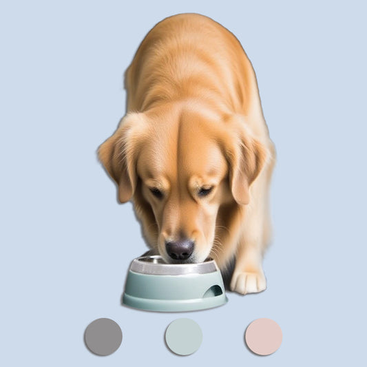 Car Pet Water Bowl for traveling, non-slip and non-spill