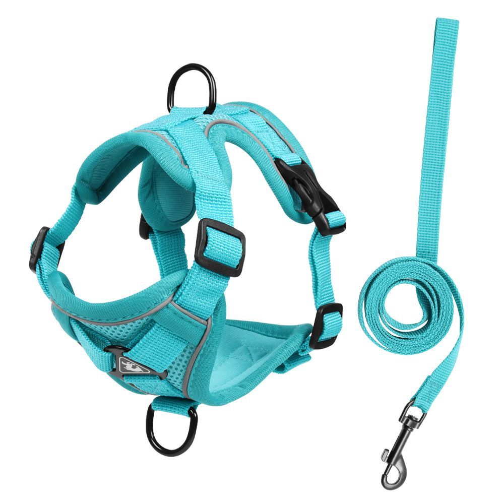 Anti-Escape-Harnisch-Leine-Set für Haustiere