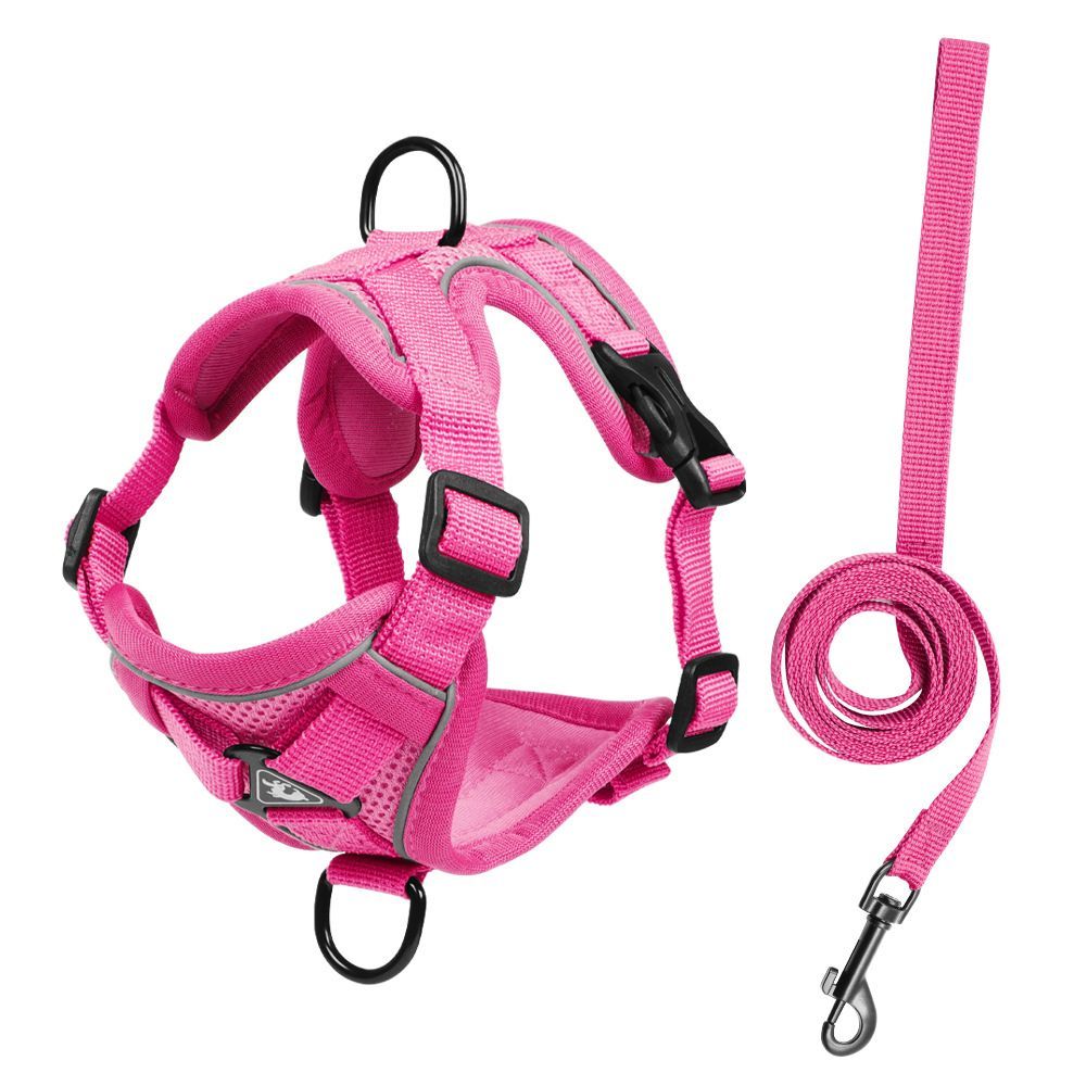 Anti-Escape-Harnisch-Leine-Set für Haustiere